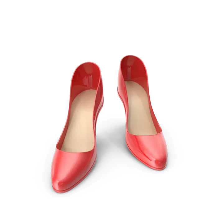Classic Shoes 216